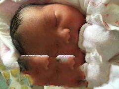 回国后选择了远播优育 一次成功绝对没让z先生失望