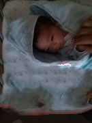 lesbian试管组建完美家庭