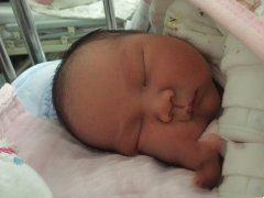 无精症丈夫通过试管助孕让妻子成功怀孕