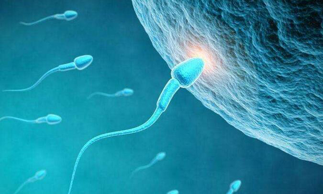 代妈的注意事项