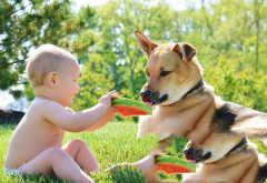 孕期补充营养素的误区有哪些