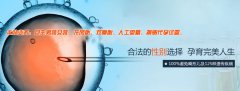 PGS染色体筛查有效提升试管成功率